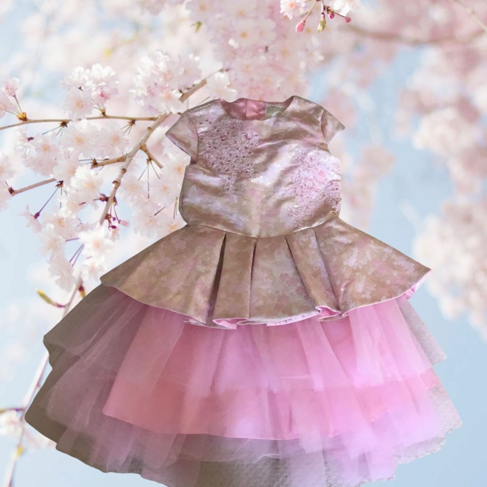 Disney Store Princess Aurora Pink Costume Young Girl’s Dress